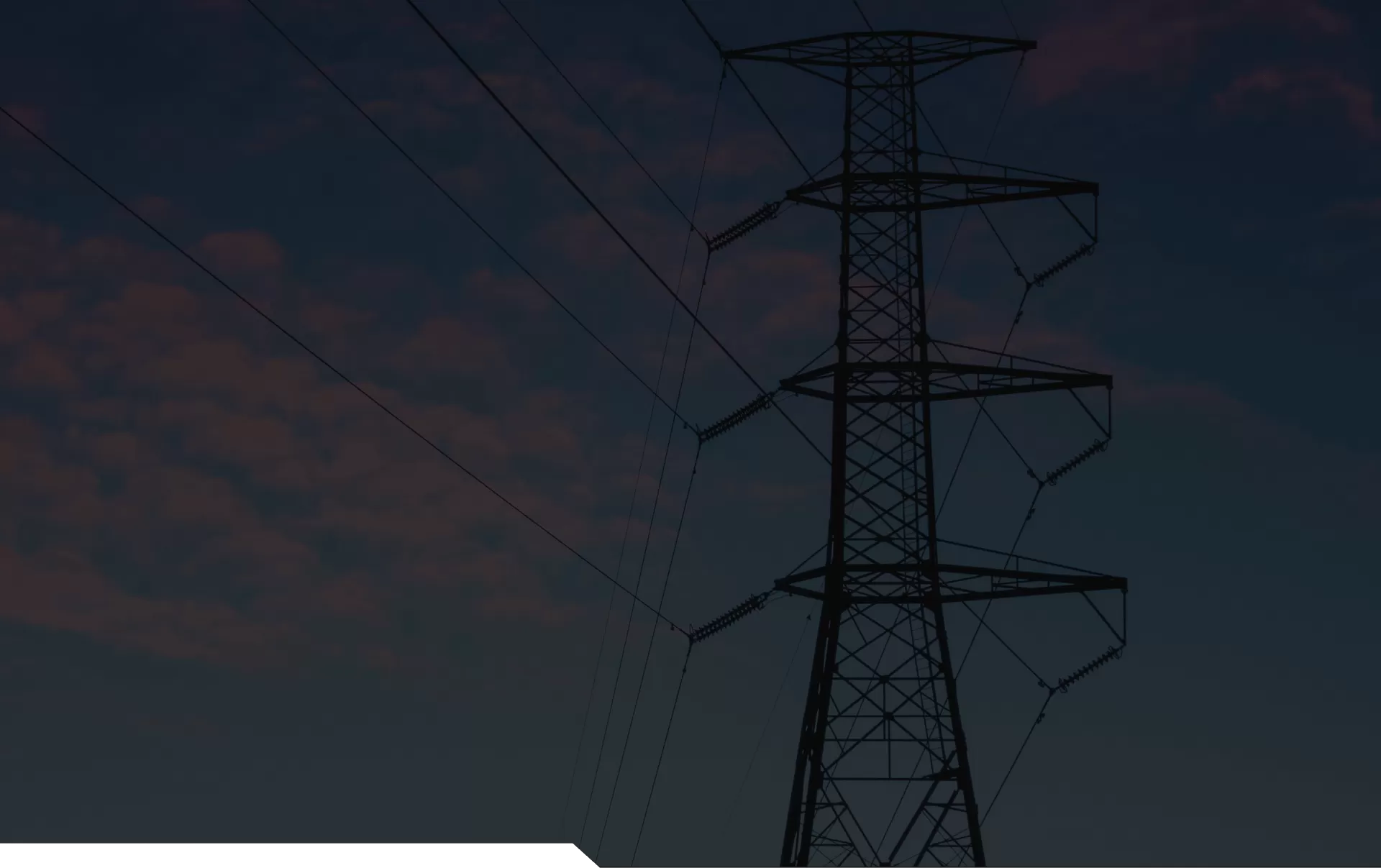 دراسات الحالات