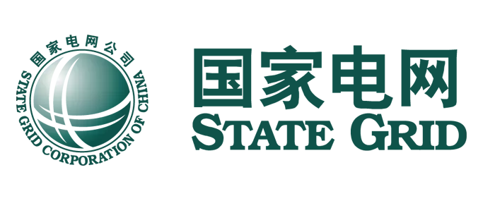 شبكة الدولة